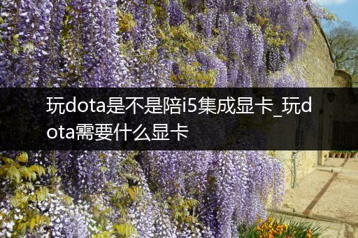 玩dota是不是陪i5集成显卡_玩dota需要什么显卡