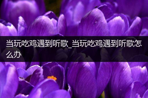 当玩吃鸡遇到听歌_当玩吃鸡遇到听歌怎么办