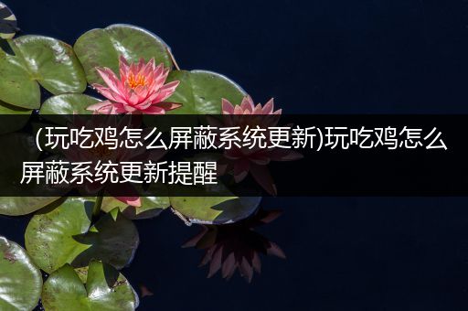 （玩吃鸡怎么屏蔽系统更新)玩吃鸡怎么屏蔽系统更新提醒