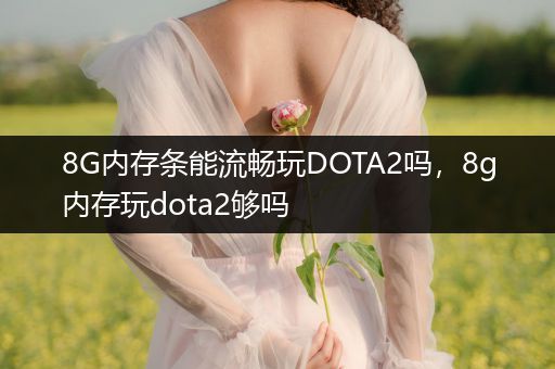 8G内存条能流畅玩DOTA2吗，8g内存玩dota2够吗