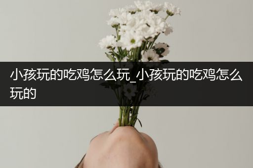 小孩玩的吃鸡怎么玩_小孩玩的吃鸡怎么玩的