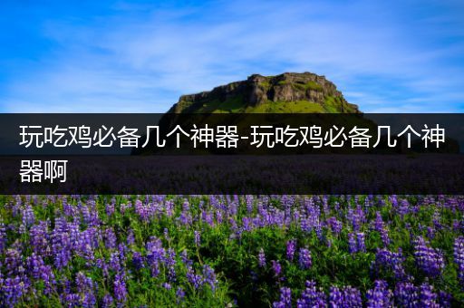 玩吃鸡必备几个神器-玩吃鸡必备几个神器啊