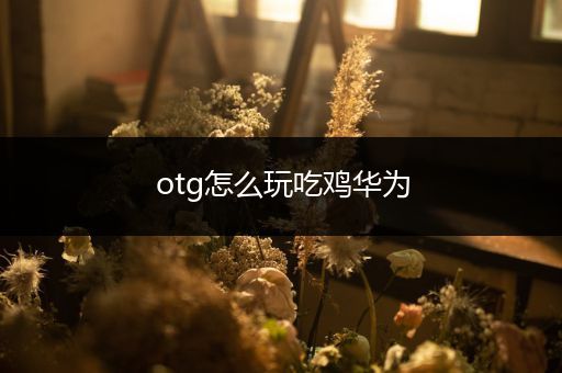 otg怎么玩吃鸡华为