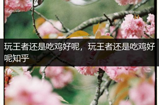 玩王者还是吃鸡好呢，玩王者还是吃鸡好呢知乎