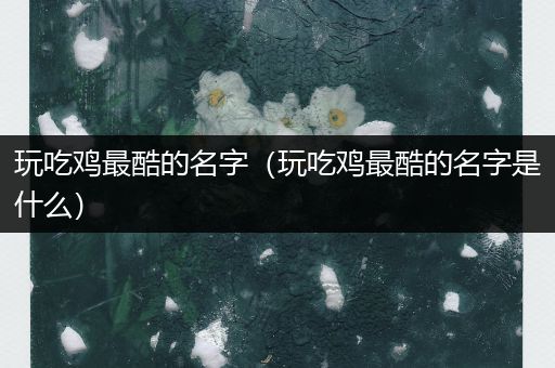 玩吃鸡最酷的名字（玩吃鸡最酷的名字是什么）