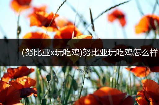 （努比亚x玩吃鸡)努比亚玩吃鸡怎么样
