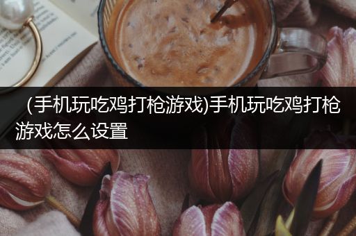 （手机玩吃鸡打枪游戏)手机玩吃鸡打枪游戏怎么设置
