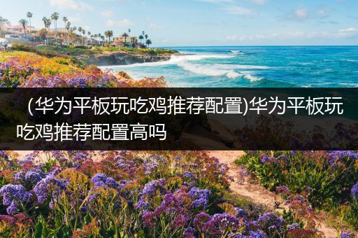 （华为平板玩吃鸡推荐配置)华为平板玩吃鸡推荐配置高吗