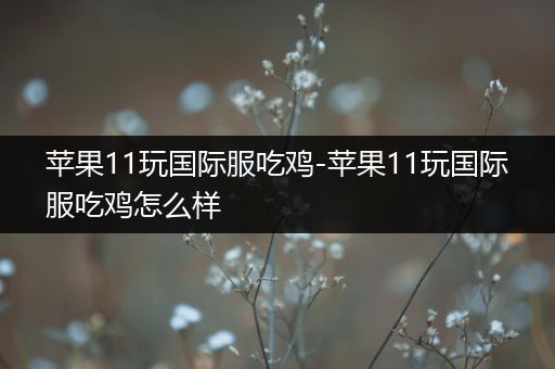 苹果11玩国际服吃鸡-苹果11玩国际服吃鸡怎么样