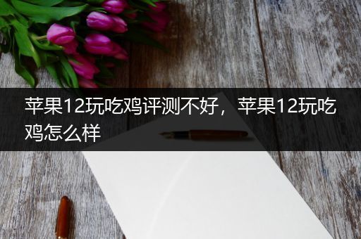 苹果12玩吃鸡评测不好，苹果12玩吃鸡怎么样