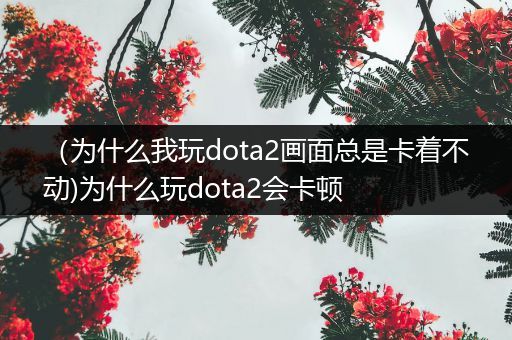 （为什么我玩dota2画面总是卡着不动)为什么玩dota2会卡顿