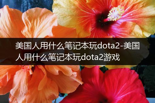 美国人用什么笔记本玩dota2-美国人用什么笔记本玩dota2游戏