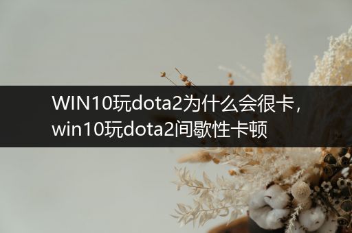 WIN10玩dota2为什么会很卡，win10玩dota2间歇性卡顿