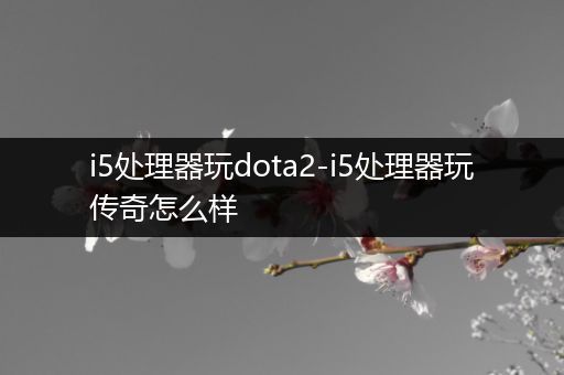 i5处理器玩dota2-i5处理器玩传奇怎么样
