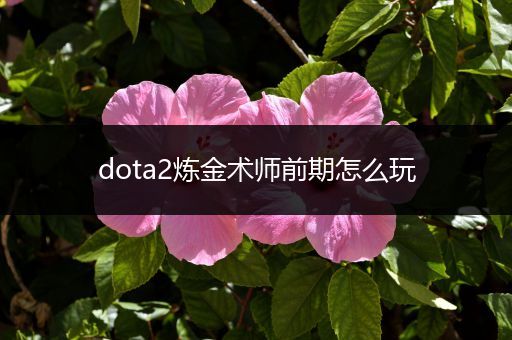 dota2炼金术师前期怎么玩