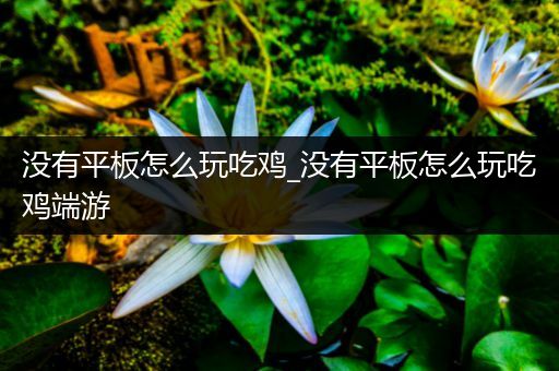 没有平板怎么玩吃鸡_没有平板怎么玩吃鸡端游