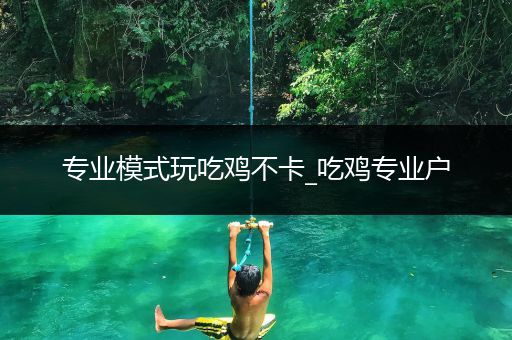 专业模式玩吃鸡不卡_吃鸡专业户
