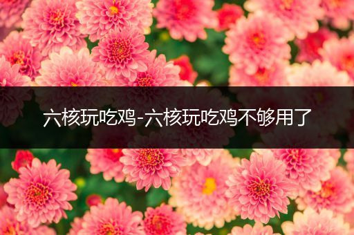 六核玩吃鸡-六核玩吃鸡不够用了
