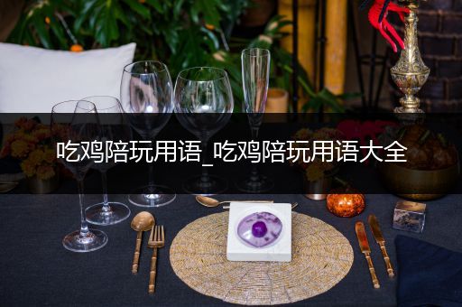 吃鸡陪玩用语_吃鸡陪玩用语大全