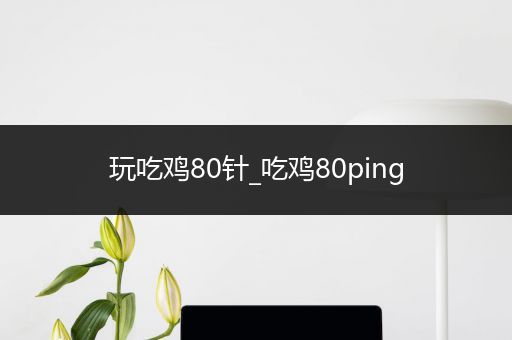 玩吃鸡80针_吃鸡80ping