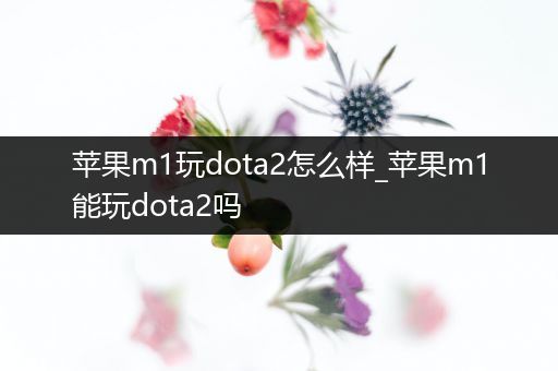 苹果m1玩dota2怎么样_苹果m1能玩dota2吗