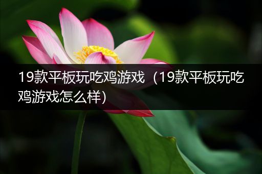 19款平板玩吃鸡游戏（19款平板玩吃鸡游戏怎么样）