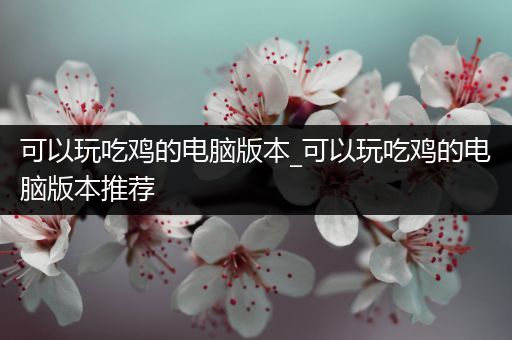 可以玩吃鸡的电脑版本_可以玩吃鸡的电脑版本推荐