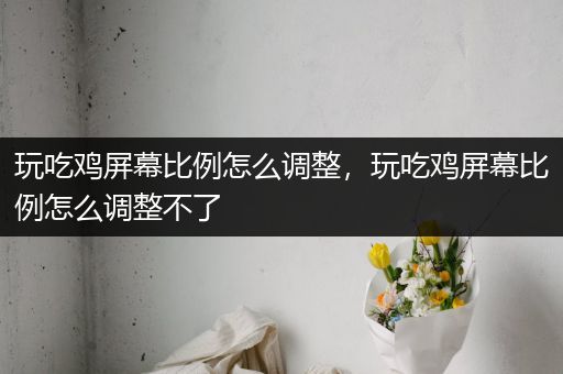 玩吃鸡屏幕比例怎么调整，玩吃鸡屏幕比例怎么调整不了