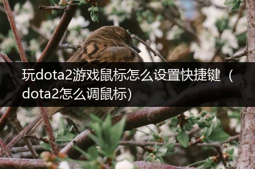 玩dota2游戏鼠标怎么设置快捷键（dota2怎么调鼠标）