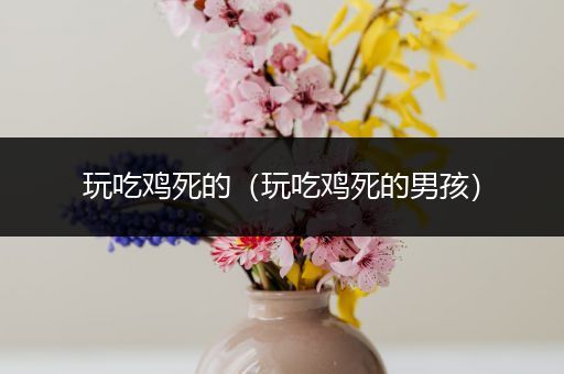 玩吃鸡死的（玩吃鸡死的男孩）