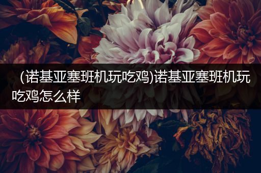 （诺基亚塞班机玩吃鸡)诺基亚塞班机玩吃鸡怎么样