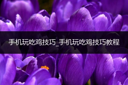 手机玩吃鸡技巧_手机玩吃鸡技巧教程