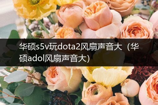 华硕s5v玩dota2风扇声音大（华硕adol风扇声音大）