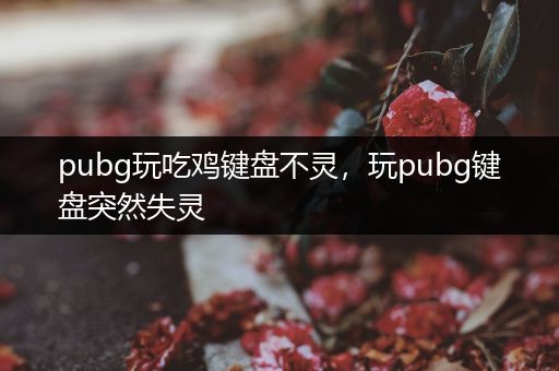 pubg玩吃鸡键盘不灵，玩pubg键盘突然失灵