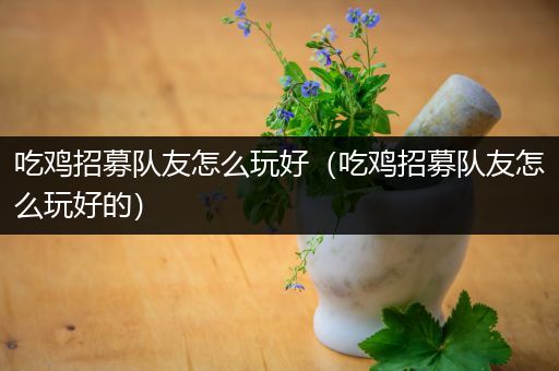 吃鸡招募队友怎么玩好（吃鸡招募队友怎么玩好的）