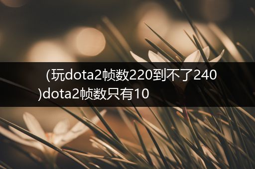 （玩dota2帧数220到不了240)dota2帧数只有10