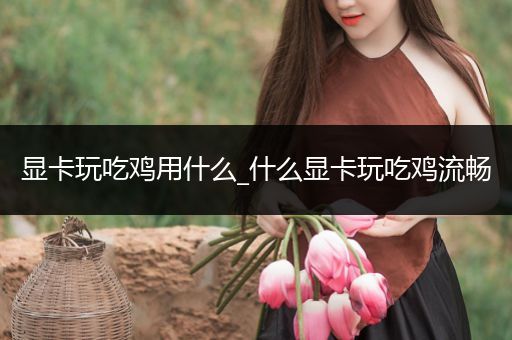 显卡玩吃鸡用什么_什么显卡玩吃鸡流畅
