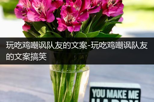 玩吃鸡嘲讽队友的文案-玩吃鸡嘲讽队友的文案搞笑