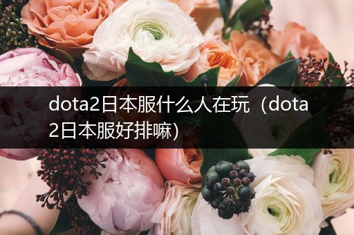 dota2日本服什么人在玩（dota2日本服好排嘛）