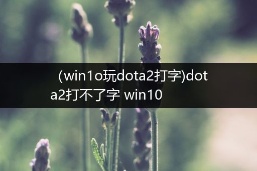 （win1o玩dota2打字)dota2打不了字 win10