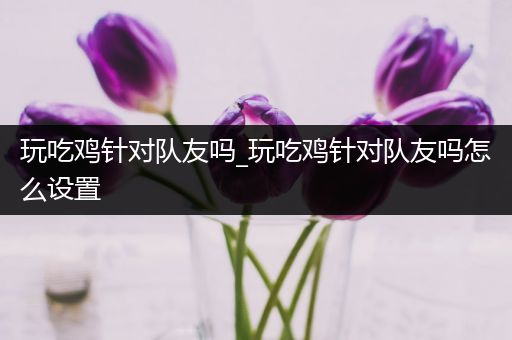 玩吃鸡针对队友吗_玩吃鸡针对队友吗怎么设置