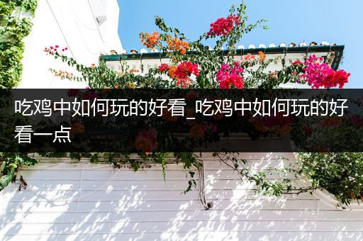 吃鸡中如何玩的好看_吃鸡中如何玩的好看一点