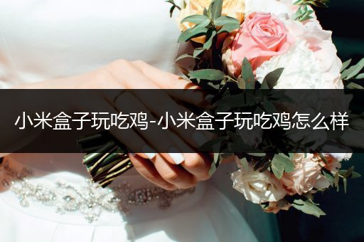 小米盒子玩吃鸡-小米盒子玩吃鸡怎么样