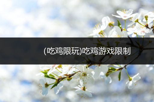 （吃鸡限玩)吃鸡游戏限制