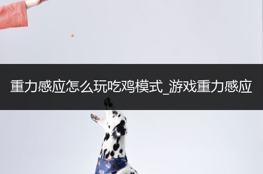 重力感应怎么玩吃鸡模式_游戏重力感应