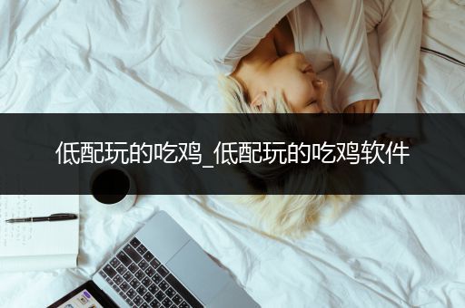低配玩的吃鸡_低配玩的吃鸡软件
