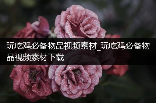 玩吃鸡必备物品视频素材_玩吃鸡必备物品视频素材下载
