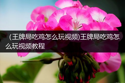 （王牌局吃鸡怎么玩视频)王牌局吃鸡怎么玩视频教程