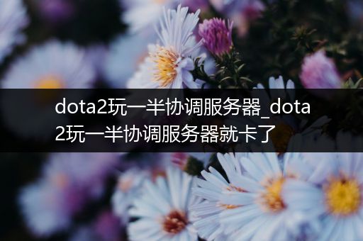 dota2玩一半协调服务器_dota2玩一半协调服务器就卡了