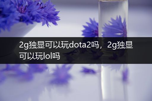 2g独显可以玩dota2吗，2g独显可以玩lol吗